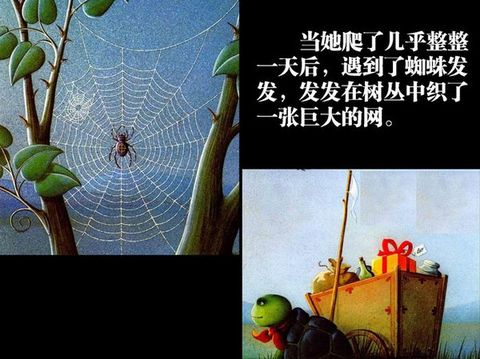 犟龟 (06),绘本,绘本故事,绘本阅读,故事书,童书,图画书,课外阅读